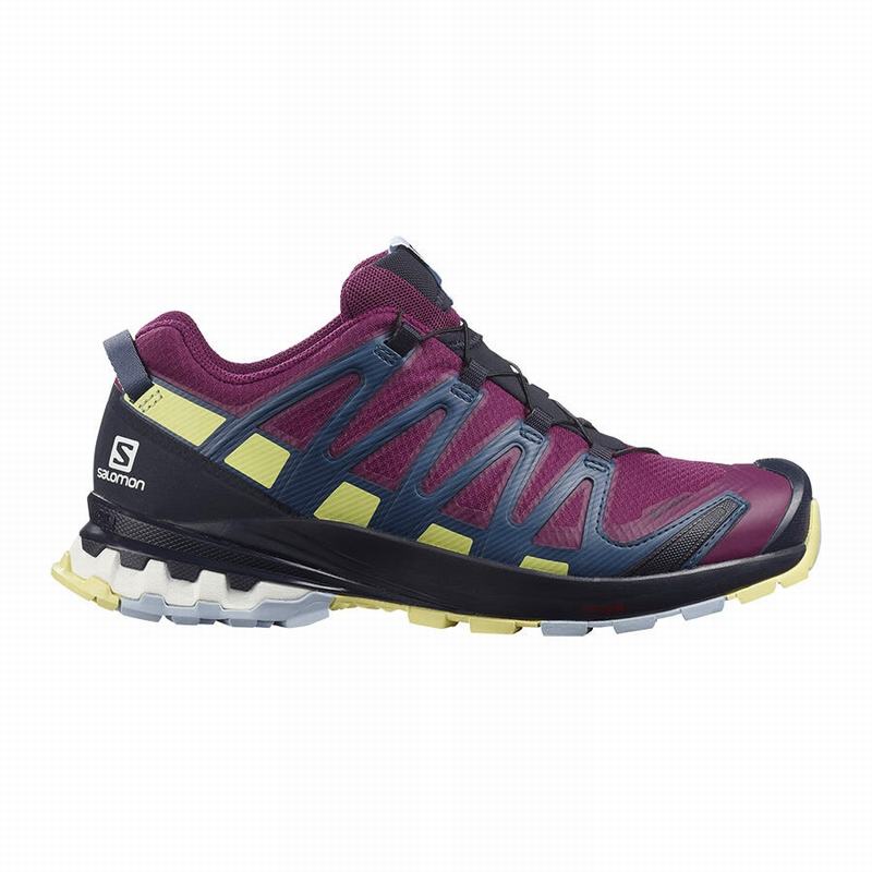 Buty Do Biegania W Terenie Damskie Salomon XA PRO 3D V8 GORE-TEX - Fioletowe - Polska (738-ALJGHM)